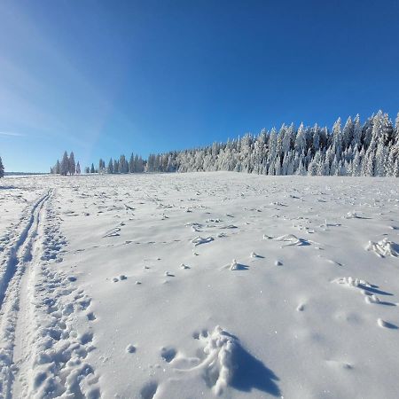 Apartman Spa Sumava Zdíkov Buitenkant foto