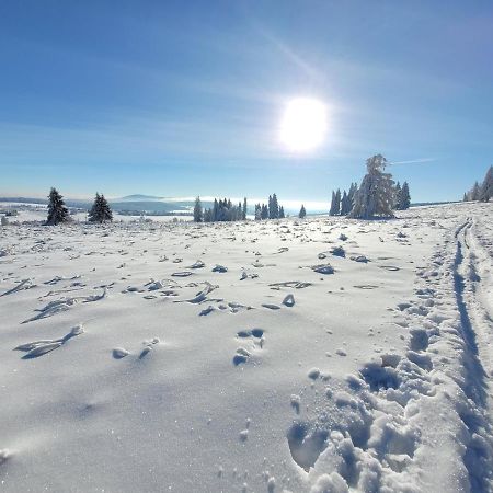 Apartman Spa Sumava Zdíkov Buitenkant foto
