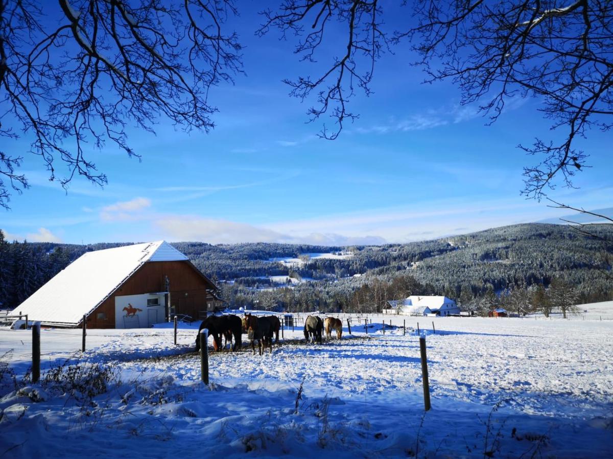 Apartman Spa Sumava Zdíkov Buitenkant foto