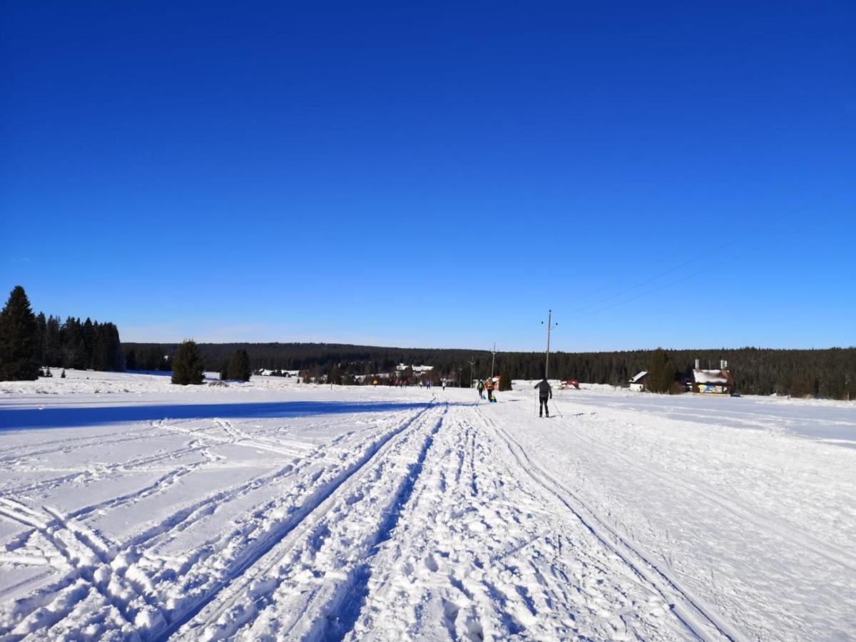 Apartman Spa Sumava Zdíkov Buitenkant foto