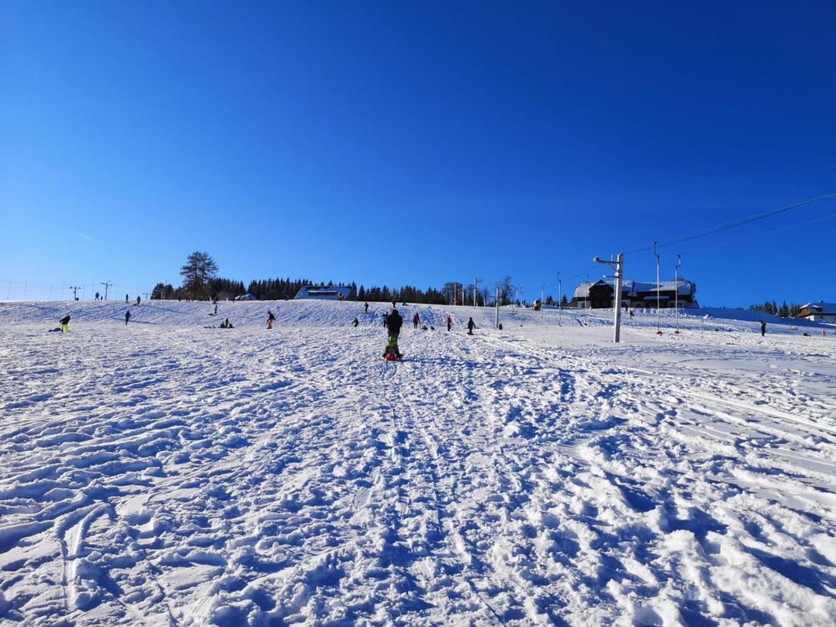 Apartman Spa Sumava Zdíkov Buitenkant foto