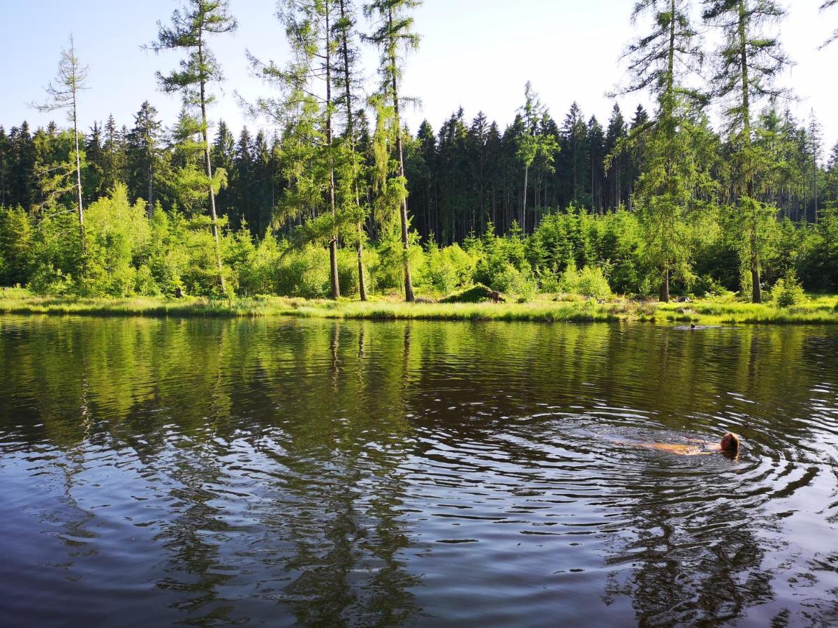 Apartman Spa Sumava Zdíkov Buitenkant foto