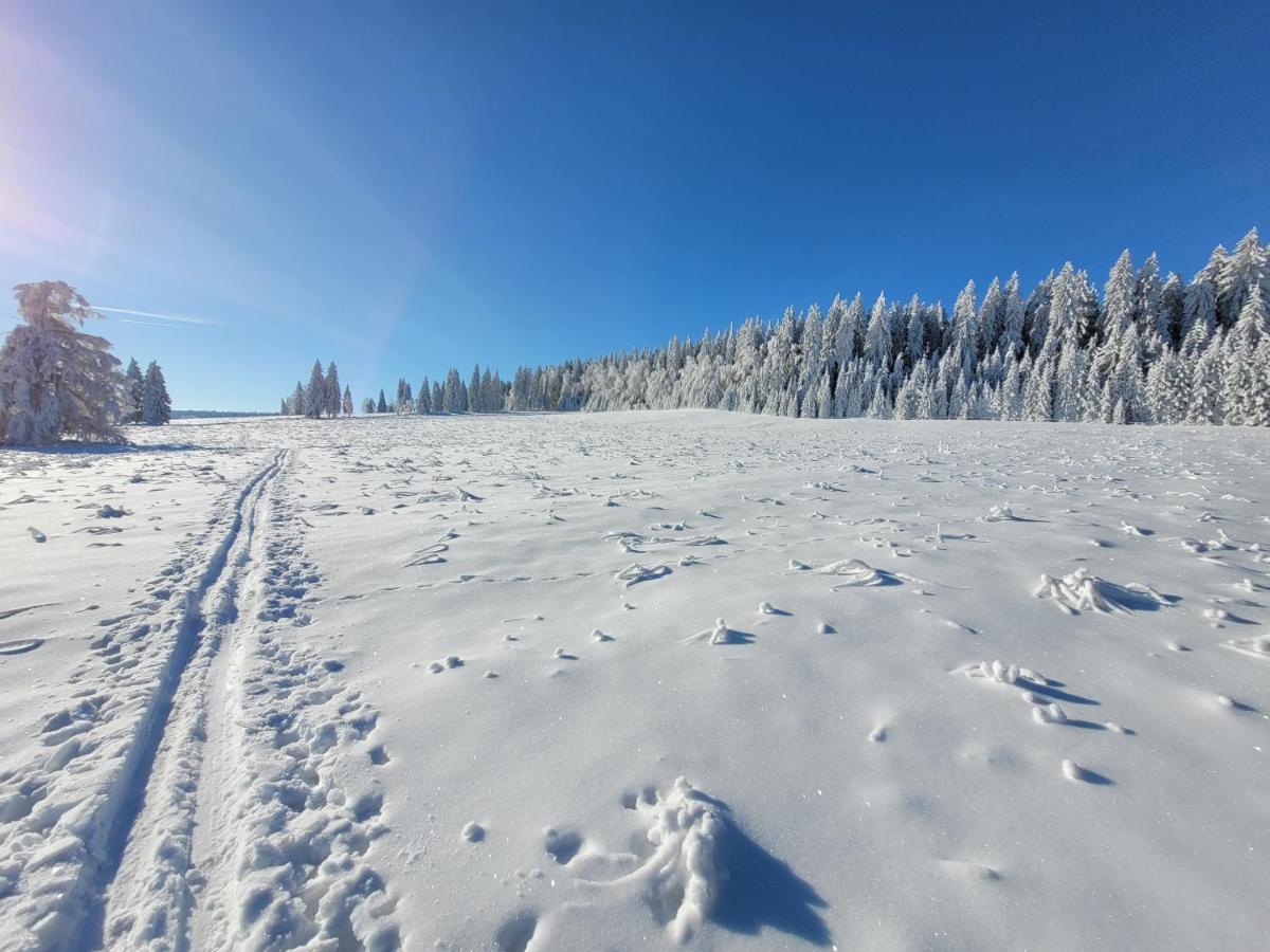 Apartman Spa Sumava Zdíkov Buitenkant foto