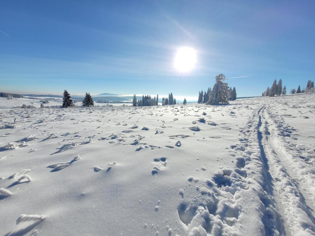 Apartman Spa Sumava Zdíkov Buitenkant foto